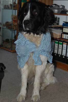 Findus trägt den ungespannten Schal / Findus modelling the unblocked shawl